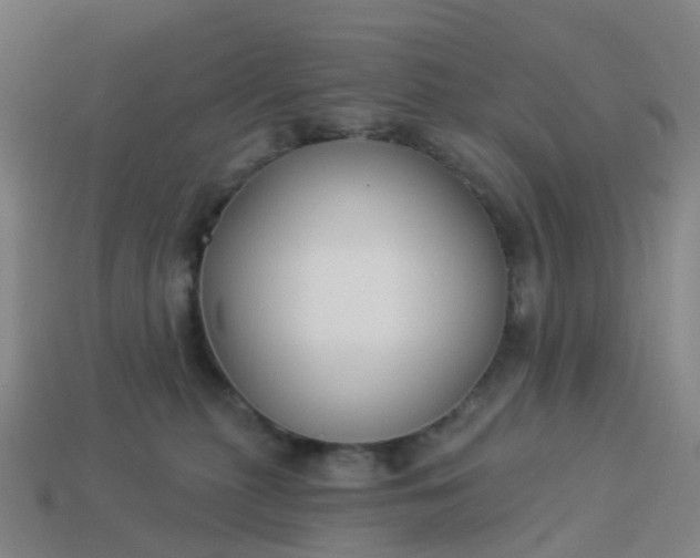 X0000114080279200910191548