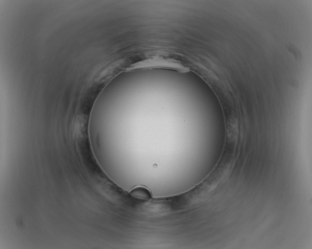 X0000114080280200910191548