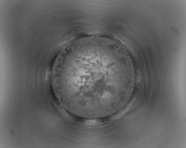 X0000114080281200910191548