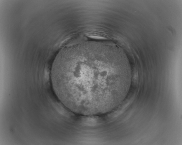 X0000114080282200910191548