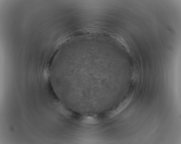 X0000114080285200910191548