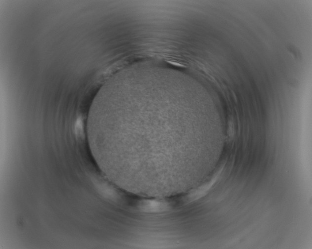 X0000114080286200910191548