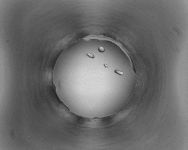 X0000114080288200910191548