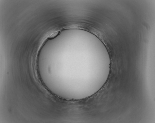 X0000114080289200910191548