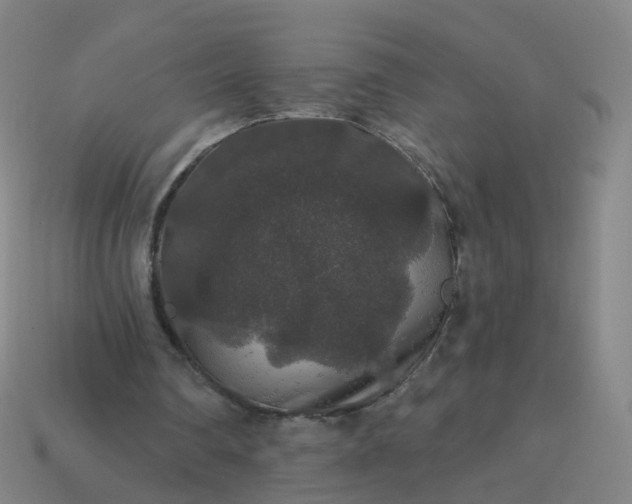 X0000114080290200910191548