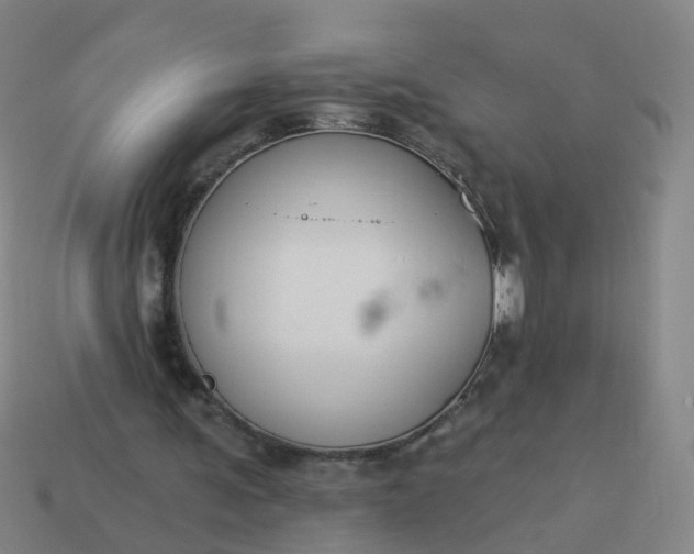 X0000114080291200910191548