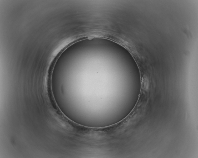 X0000114080292200910191548