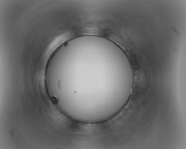 X0000114080293200910191548