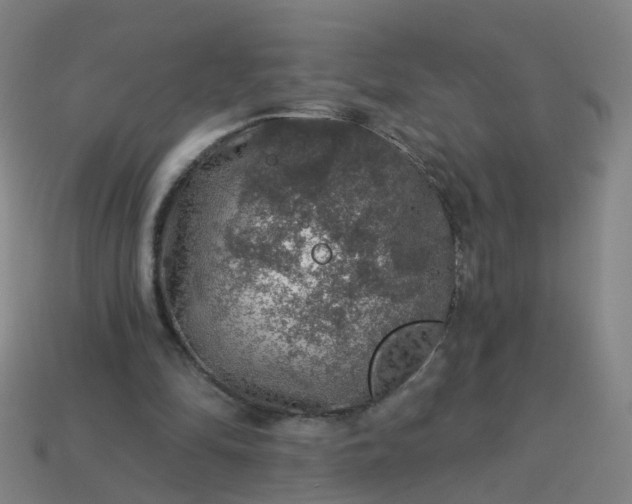 X0000114080294200910191548