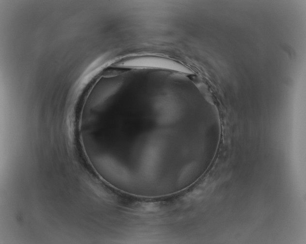 X0000114080295200910191548