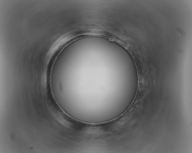 X0000114080296200910191548