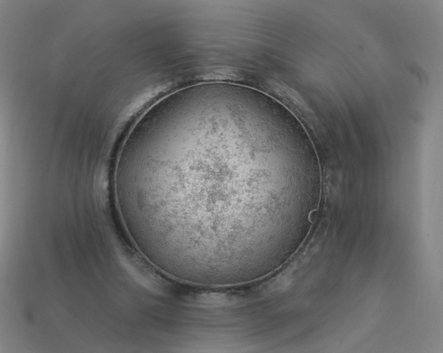 X0000114080298200910191548