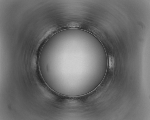 X0000114080300200910191548