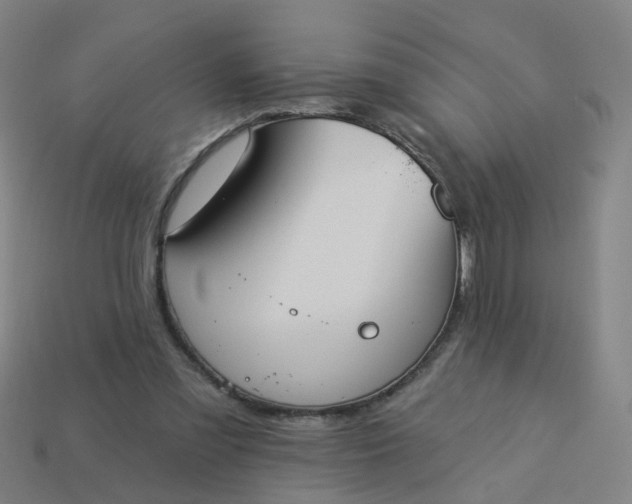 X0000114080301200910191548