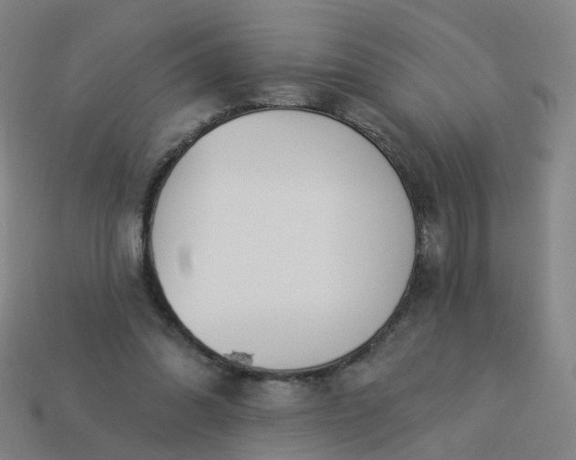 X0000114080302200910191548