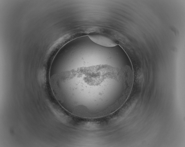 X0000114080303200910191548