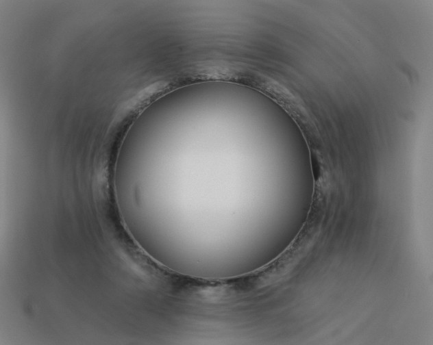 X0000114080306200910191547