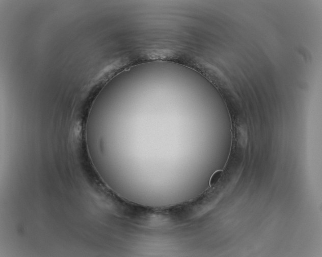 X0000114080308200910191547