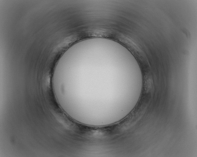 X0000114080310200910191547