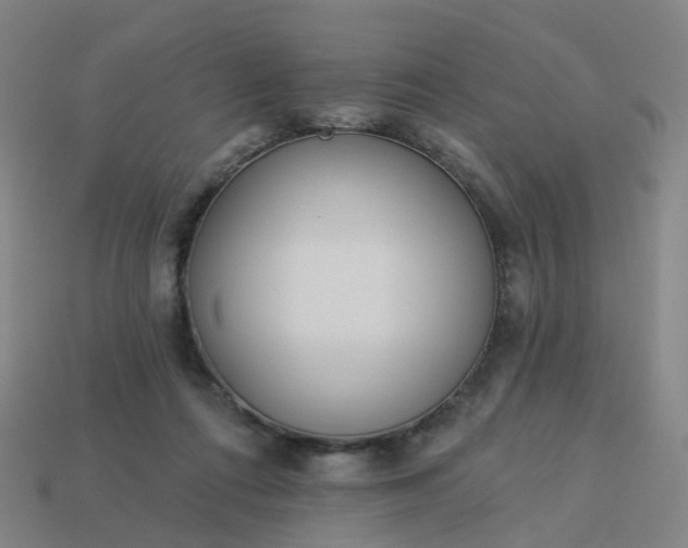 X0000114080312200910191547