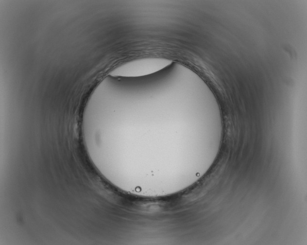 X0000114080313200910191547