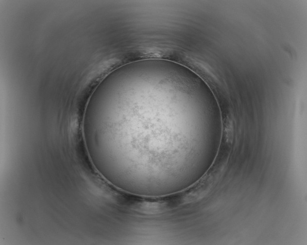 X0000114080314200910191547