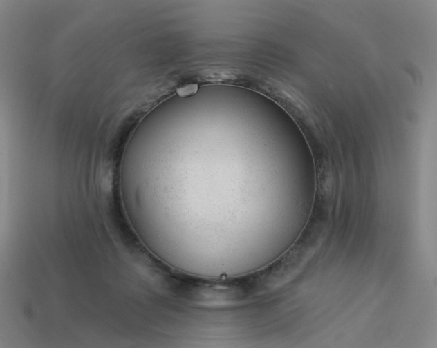 X0000114080315200910191547