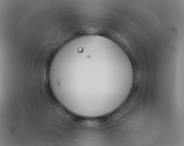 X0000114080317200910191547