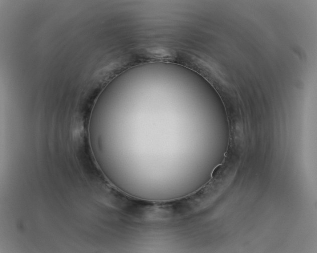 X0000114080320200910191547