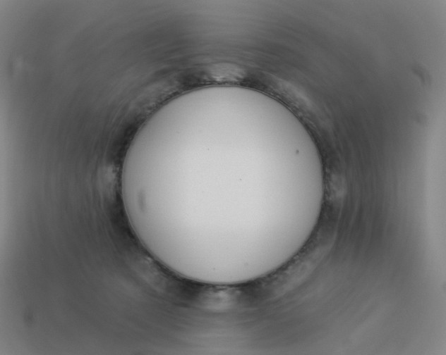 X0000114080321200910191547