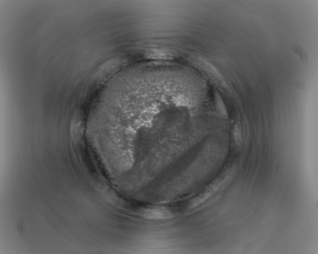 X0000114080322200910191547