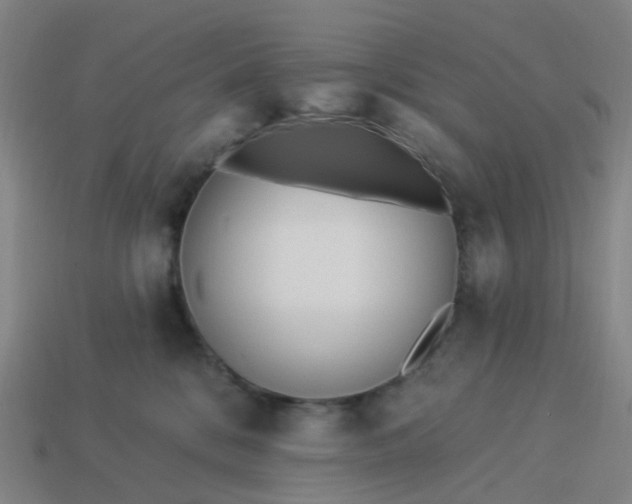 X0000114080328200910191547