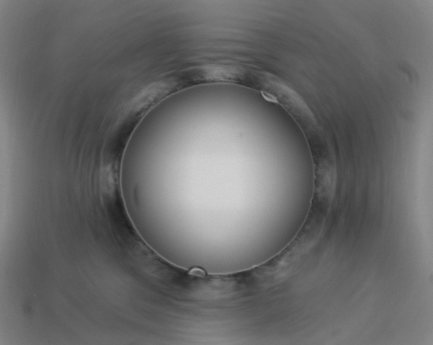 X0000114080329200910191547