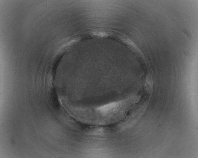 X0000114080330200910191547