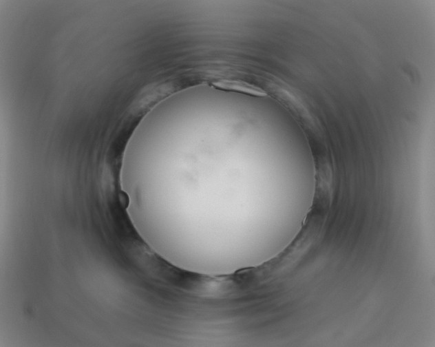 X0000114080333200910191547