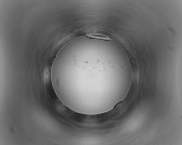 X0000114080335200910191547