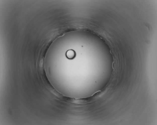 X0000114080336200910191547