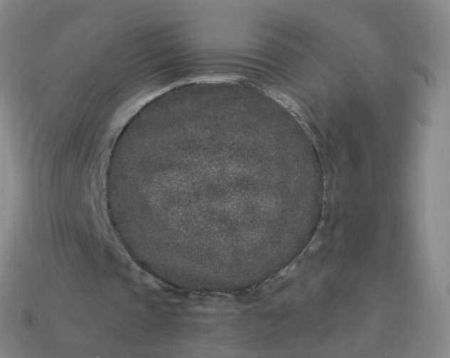 X0000114080337200910191546