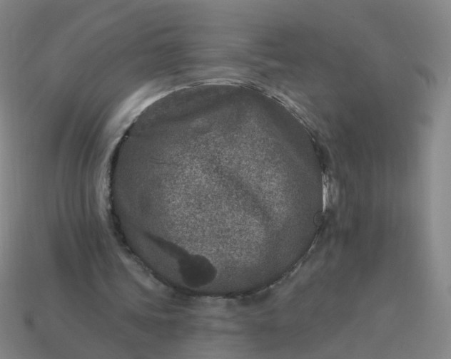 X0000114080339200910191547