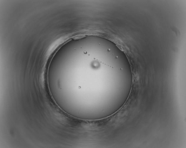 X0000114080340200910191547