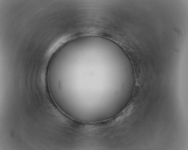 X0000114080341200910191547