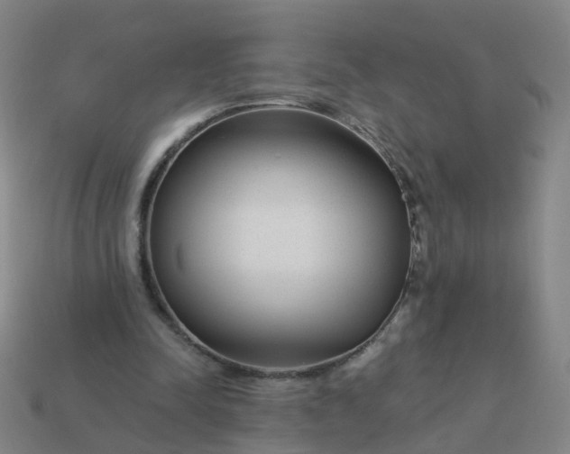 X0000114080342200910191547