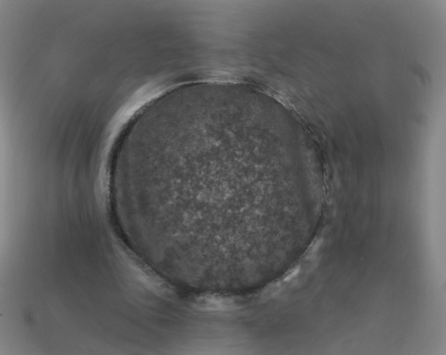 X0000114080343200910191547