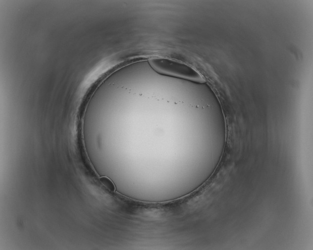 X0000114080344200910191547