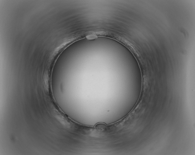 X0000114080345200910191547