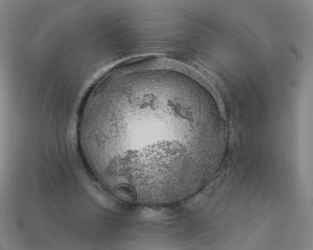 X0000114080346200910191547