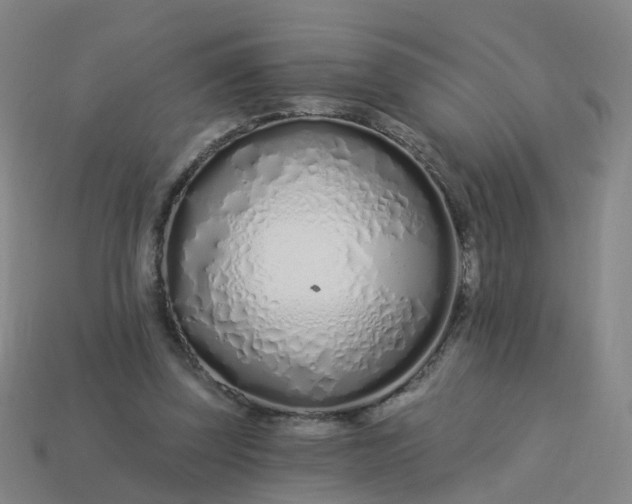 X0000114080347200910191547