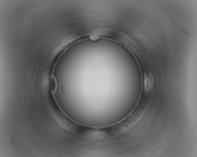 X0000114080348200910191547