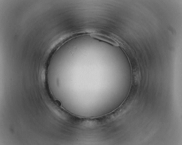 X0000114080350200910191547