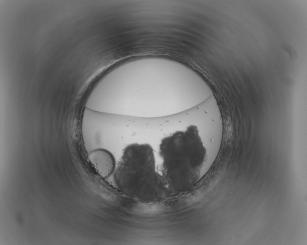 X0000114080351200910191547